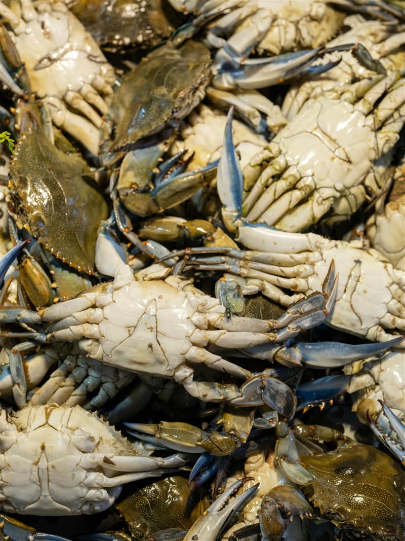 Fresh seafood